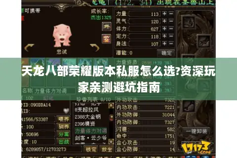 天龙八部荣耀版本私服怎么选?资深玩家亲测避坑指南