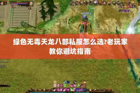 绿色无毒天龙八部私服怎么选?老玩家教你避坑指南