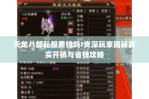 天龙八部私服费钱吗?资深玩家揭秘真实开销与省钱攻略