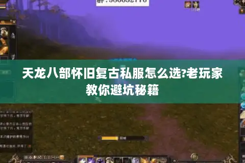 天龙八部怀旧复古私服怎么选?老玩家教你避坑秘籍 天龙八部怀旧复古私服怎么选?老玩家教你避坑秘籍