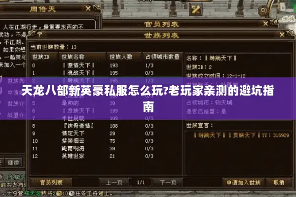 天龙八部新英豪私服怎么玩?老玩家亲测的避坑指南
