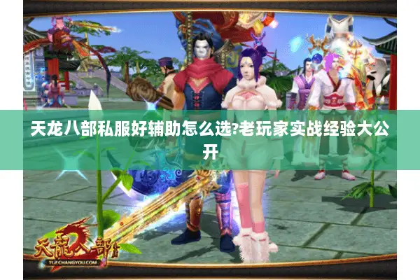 天龙八部私服好辅助怎么选?老玩家实战经验大公开