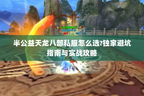 半公益天龙八部私服怎么选?独家避坑指南与实战攻略