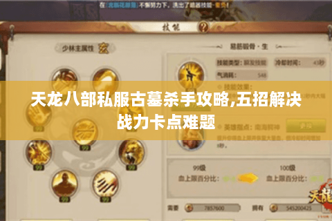 天龙八部私服古墓杀手攻略,五招解决战力卡点难题 天龙八部私服古墓杀手攻略,五招解决战力卡点难题