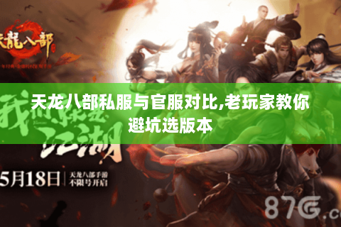 天龙八部私服与官服对比,老玩家教你避坑选版本 天龙八部私服与官服对比,老玩家教你避坑选版本