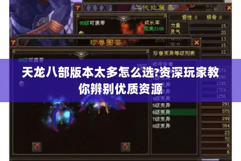 天龙八部版本太多怎么选?资深玩家教你辨别优质资源