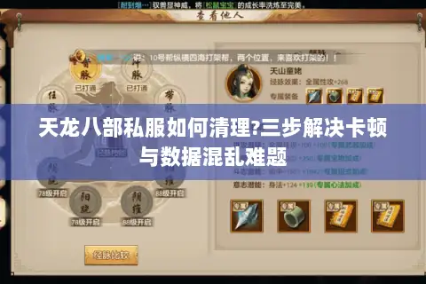 天龙八部私服如何清理?三步解决卡顿与数据混乱难题 天龙八部私服如何清理?三步解决卡顿与数据混乱难题