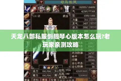 天龙八部私服剑胆琴心版本怎么玩?老玩家亲测攻略