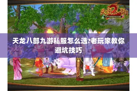 天龙八部九游私服怎么选?老玩家教你避坑技巧