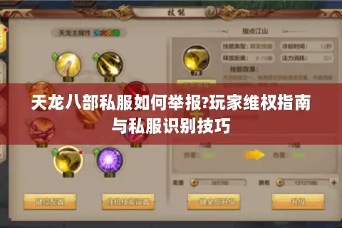 天龙八部私服如何举报?玩家维权指南与私服识别技巧