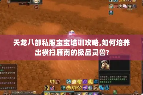 天龙八部私服宝宝培训攻略,如何培养出横扫雁南的极品灵兽?