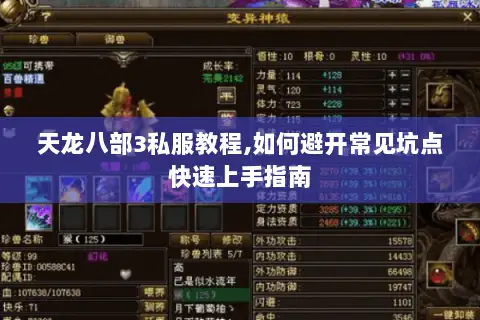天龙八部3私服教程,如何避开常见坑点快速上手指南