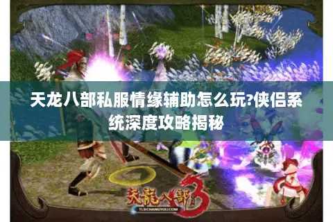 天龙八部私服情缘辅助怎么玩?侠侣系统深度攻略揭秘