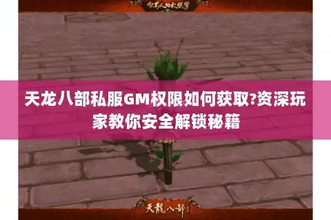 天龙八部私服GM权限如何获取?资深玩家教你安全解锁秘籍