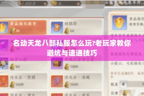 名动天龙八部私服怎么玩?老玩家教你避坑与速通技巧