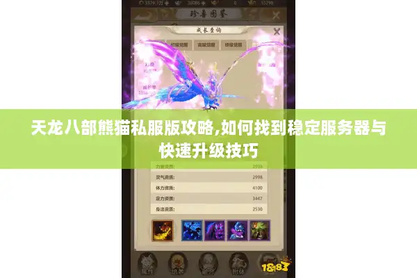 天龙八部熊猫私服版攻略,如何找到稳定服务器与快速升级技巧