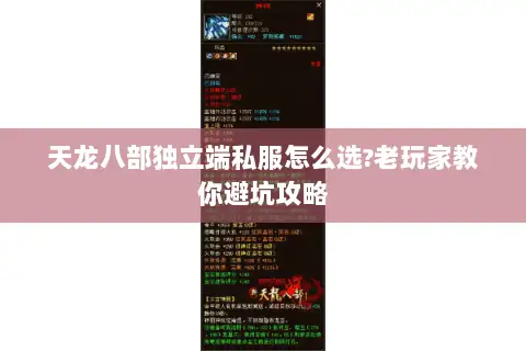 天龙八部独立端私服怎么选?老玩家教你避坑攻略 天龙八部独立端私服怎么选?老玩家教你避坑攻略