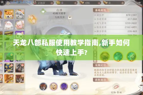 天龙八部私服使用教学指南,新手如何快速上手?
