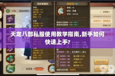 天龙八部私服使用教学指南,新手如何快速上手?