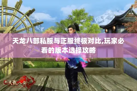 天龙八部私服与正服终极对比,玩家必看的版本选择攻略 天龙八部私服与正服终极对比,玩家必看的版本选择攻略
