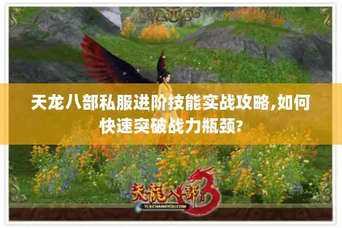 天龙八部私服进阶技能实战攻略,如何快速突破战力瓶颈? 天龙八部私服进阶技能实战攻略,如何快速突破战力瓶颈?