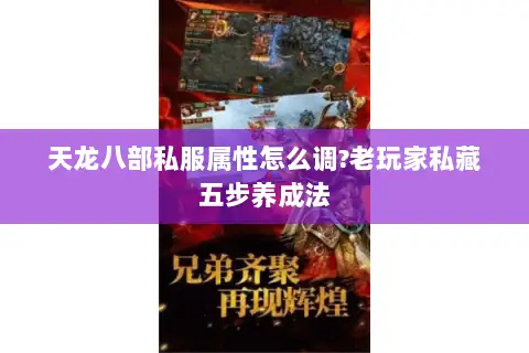 天龙八部私服属性怎么调?老玩家私藏五步养成法