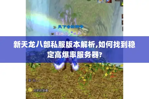 新天龙八部私服版本解析,如何找到稳定高爆率服务器? 新天龙八部私服版本解析,如何找到稳定高爆率服务器?