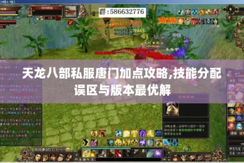 天龙八部私服唐门加点攻略,技能分配误区与版本最优解