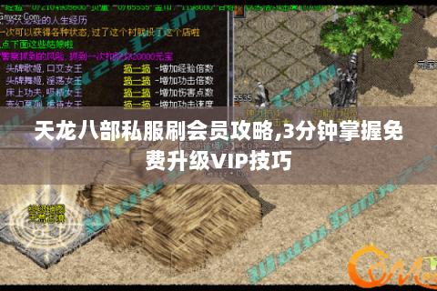 天龙八部私服刷会员攻略,3分钟掌握免费升级VIP技巧