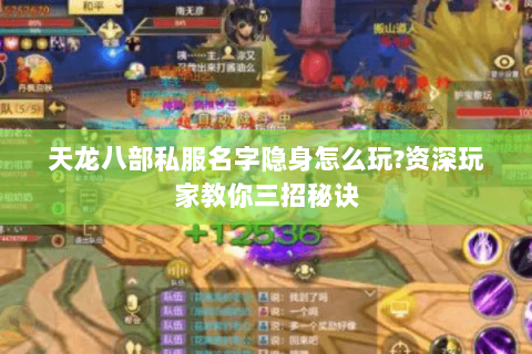 天龙八部私服名字隐身怎么玩?资深玩家教你三招秘诀 天龙八部私服名字隐身怎么玩?资深玩家教你三招秘诀