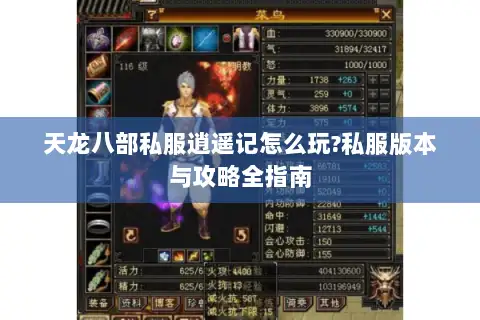 天龙八部私服逍遥记怎么玩?私服版本与攻略全指南
