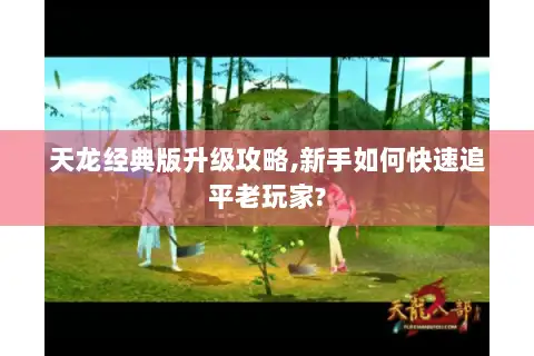 天龙经典版升级攻略,新手如何快速追平老玩家?