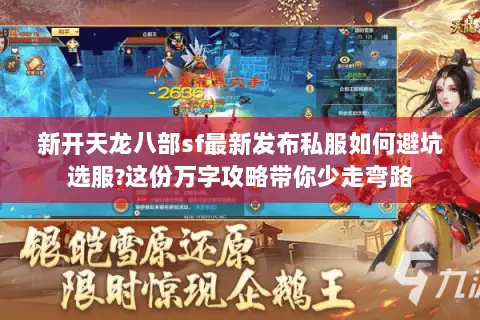 新开天龙八部sf最新发布私服如何避坑选服?这份万字攻略带你少走弯路