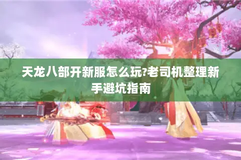 天龙八部开新服怎么玩?老司机整理新手避坑指南