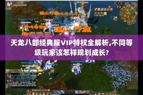 天龙八部经典服VIP特权全解析,不同等级玩家该怎样规划成长? 天龙八部经典服VIP特权全解析,不同等级玩家该怎样规划成长?