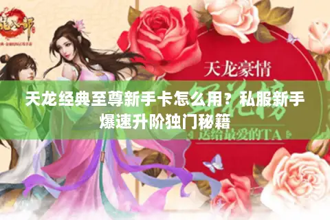 天龙经典至尊新手卡怎么用？私服新手爆速升阶独门秘籍