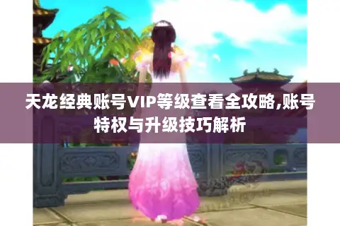天龙经典账号VIP等级查看全攻略,账号特权与升级技巧解析