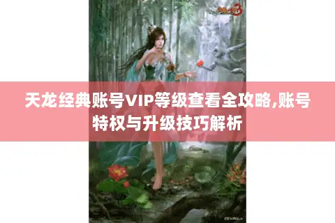 天龙经典账号VIP等级查看全攻略,账号特权与升级技巧解析