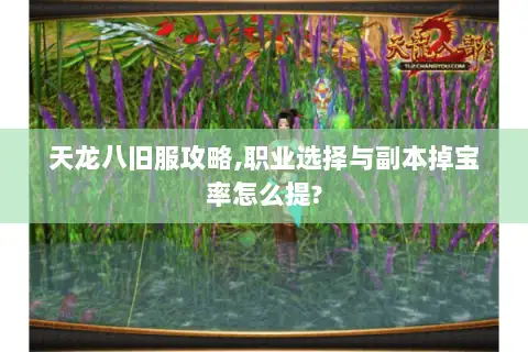 天龙八旧服攻略,职业选择与副本掉宝率怎么提? 天龙八旧服攻略,职业选择与副本掉宝率怎么提?