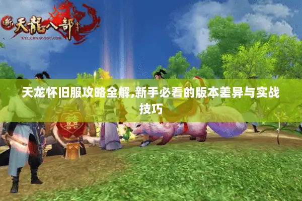 天龙怀旧服攻略全解,新手必看的版本差异与实战技巧