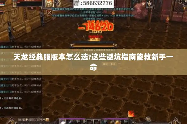 天龙经典服版本怎么选?这些避坑指南能救新手一命