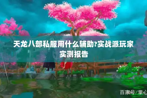 天龙八部私服用什么辅助?实战派玩家实测报告
