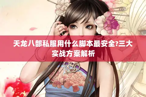天龙八部私服用什么脚本最安全?三大实战方案解析