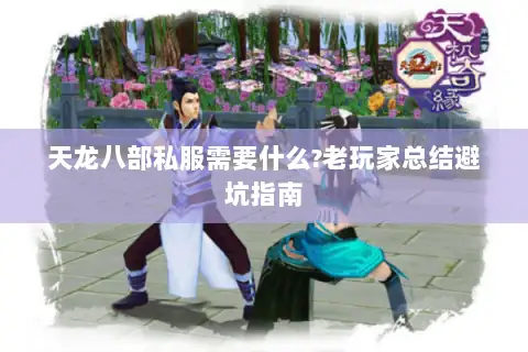 天龙八部私服需要什么?老玩家总结避坑指南 天龙八部私服需要什么?老玩家总结避坑指南
