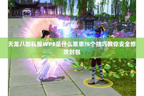 天龙八部私服WPE是什么意思?5个技巧教你安全修改封包 天龙八部私服WPE是什么意思?5个技巧教你安全修改封包