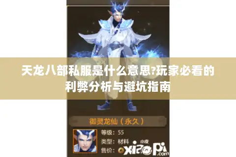 天龙八部私服是什么意思?玩家必看的利弊分析与避坑指南