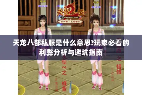 天龙八部私服是什么意思?玩家必看的利弊分析与避坑指南