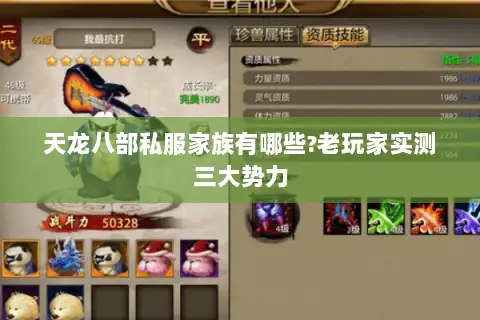 天龙八部私服家族有哪些?老玩家实测三大势力 天龙八部私服家族有哪些?老玩家实测三大势力