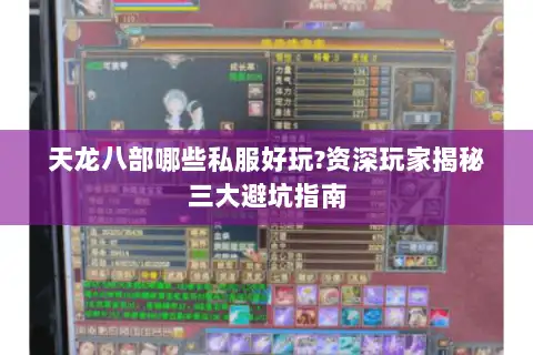 天龙八部哪些私服好玩?资深玩家揭秘三大避坑指南