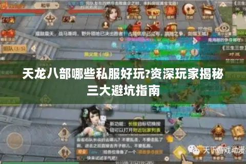 天龙八部哪些私服好玩?资深玩家揭秘三大避坑指南